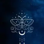 Schmetterling in der Dunkelheit
