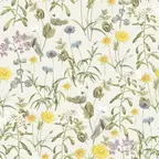 Blumenwiese