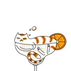Katze nach der Party