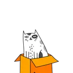 Katze in der Box